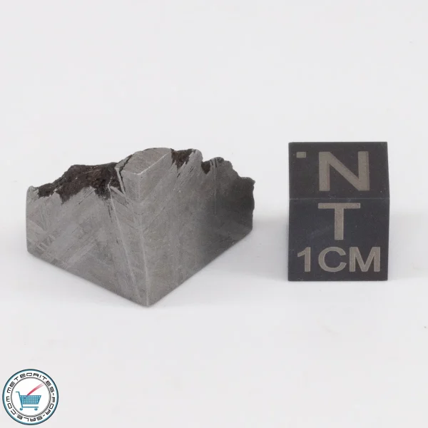 Muonionalusta Meteorite 14.5g