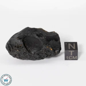 Vietnam Tektite 17.8g