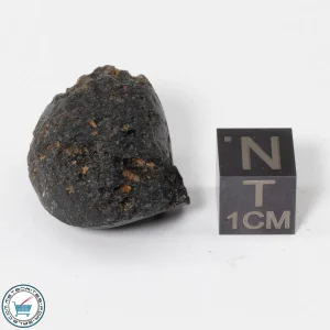 Vietnam Tektite 8.8g