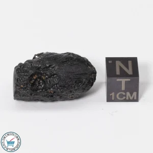 Vietnam Tektite 7.6g