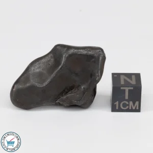 Sikhote-Alin Meteorite 29.6g
