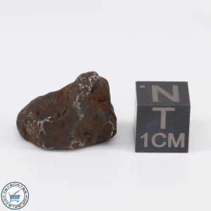 Sikhote-Alin Meteorite 10.4g