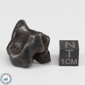 Sikhote-Alin Meteorite 21.0g
