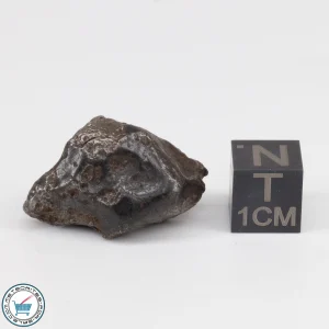 Sikhote-Alin Meteorite 16.9g