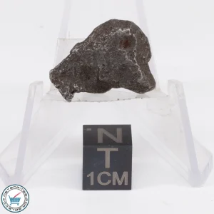 Sikhote-Alin Meteorite 8.0g