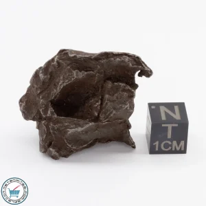 Sikhote-Alin Meteorite Shrapnel 57.4g