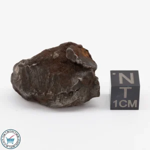 Sikhote-Alin Meteorite Shrapnel 36.0g