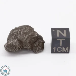 Sikhote-Alin Meteorite Shrapnel 13.7g