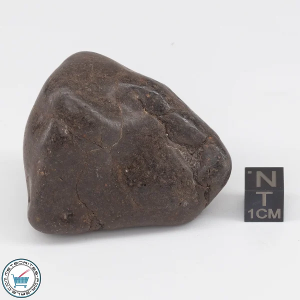 UNWA Meteorite Stone Tumbled 123.1g