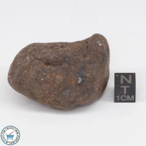 UNWA Meteorite Stone Tumbled 69.9g