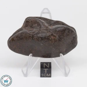 UNWA Meteorite Stone Tumbled 56.2g