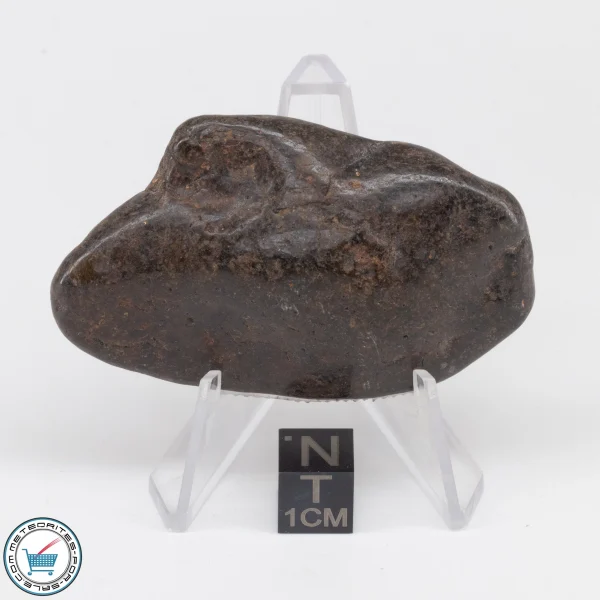 UNWA Meteorite Stone Tumbled 56.2g