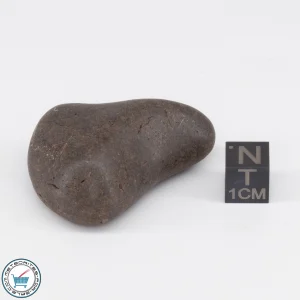 UNWA Meteorite Stone Tumbled 39.4g