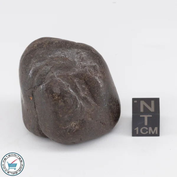 UNWA Meteorite Stone Tumbled 64.9g