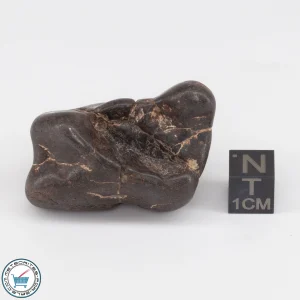 UNWA Meteorite Stone Tumbled 47.1g