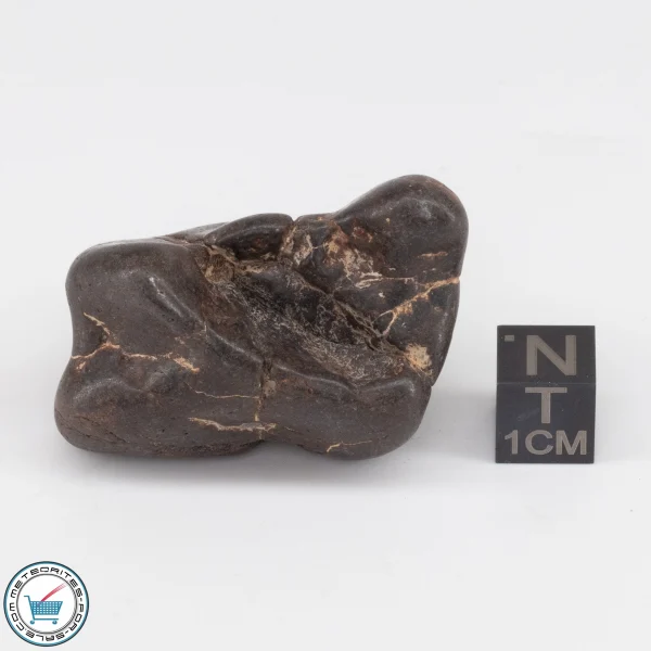UNWA Meteorite Stone Tumbled 47.1g