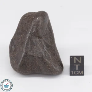 UNWA Meteorite Stone Tumbled 72.0g