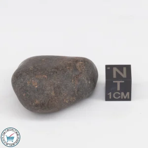 UNWA Meteorite Stone Tumbled 32.3g