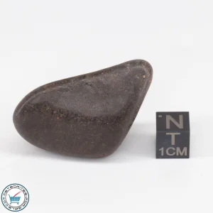 UNWA Meteorite Stone Tumbled 33.2g