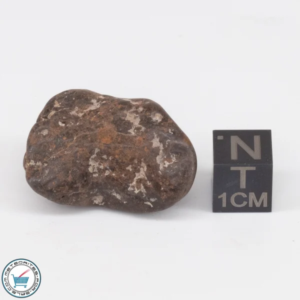 UNWA Meteorite Stone Tumbled 12.0g