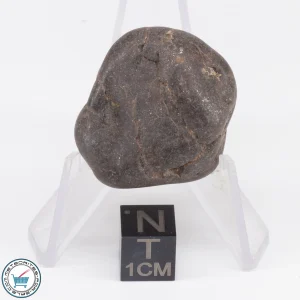 UNWA Meteorite Stone Tumbled 24.0g
