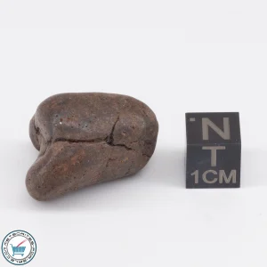UNWA Meteorite Stone Tumbled 14.4g