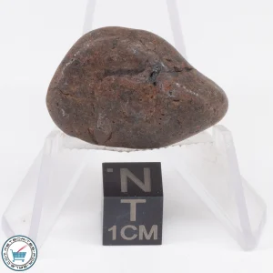 UNWA Meteorite Stone Tumbled 12.7g