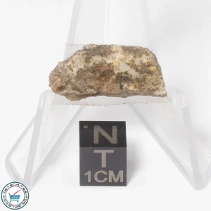 NWA 15373 Meteorite 2.3g End-Cut