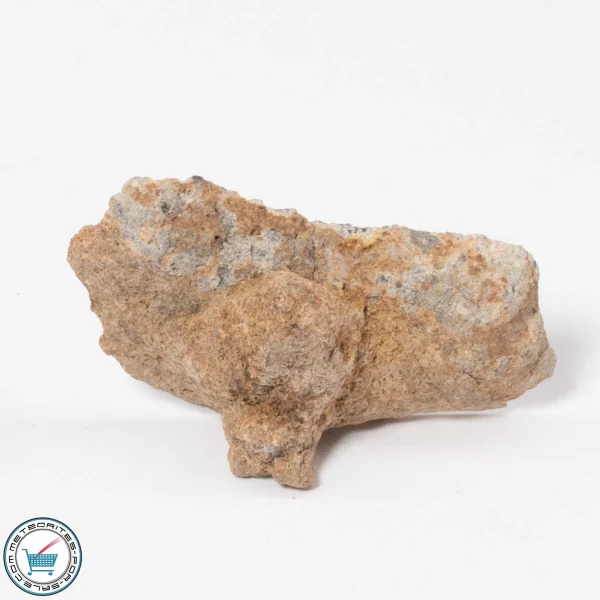 NWA 15373 Meteorite 4.8g End-Cut