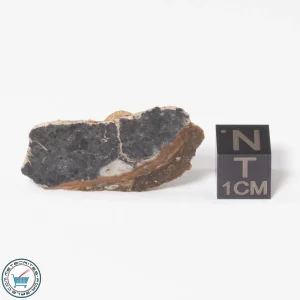 NWA 15373 Meteorite 4.8g End-Cut