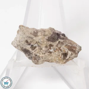 NWA 15373 Meteorite 2.7g End-Cut