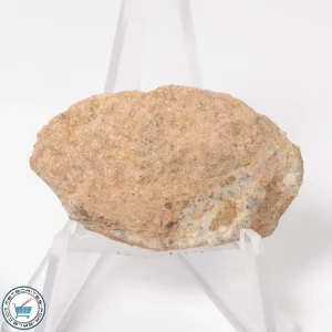 NWA 15373 Meteorite 10.7g End-Cut