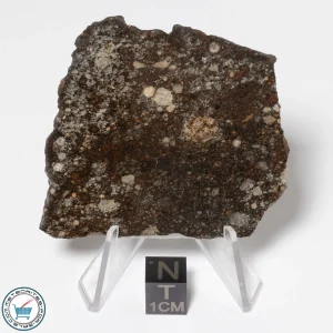 NWA 16181 Meteorite 24.5g Slice