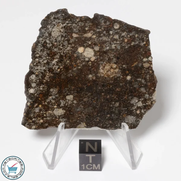 NWA 16181 Meteorite 24.5g Slice