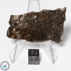 NWA 16181 Meteorite 10.1g Slice