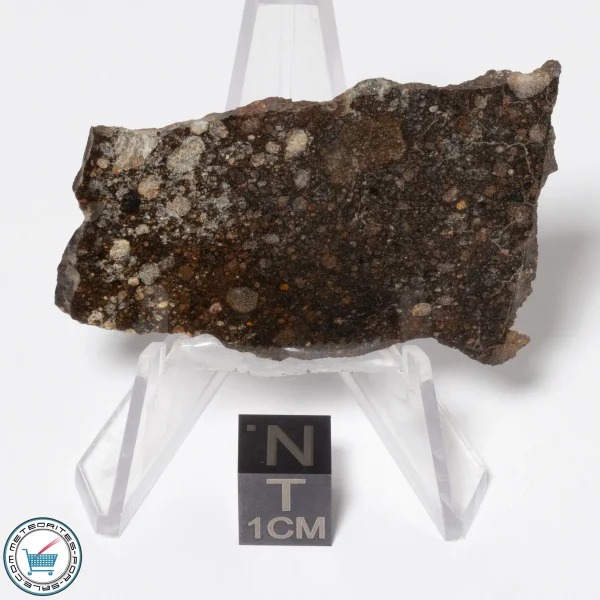 NWA 16181 Meteorite 10.1g Slice