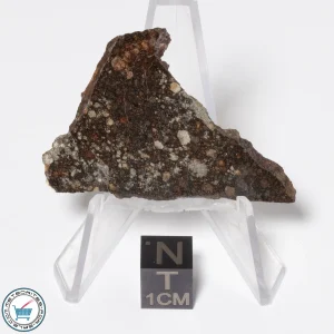NWA 16181 Meteorite 6.5g Slice