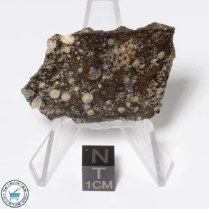 NWA 16181 Meteorite 8.5g Slice