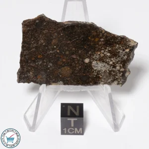 NWA 16181 Meteorite 11.8g Slice