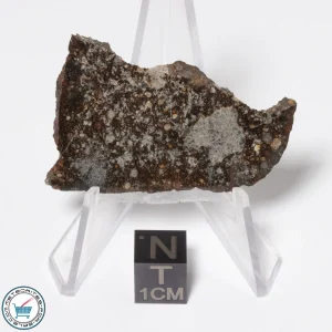 NWA 16181 Meteorite 8.3g Slice