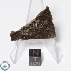 NWA 16181 Meteorite 5.1g Slice