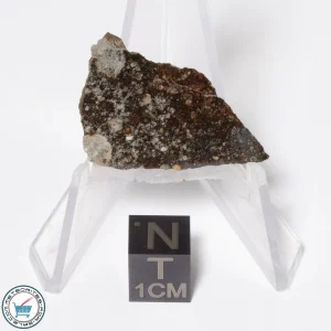 NWA 16181 Meteorite 2.9g Slice
