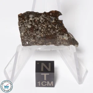 NWA 16181 Meteorite 3.3g Slice