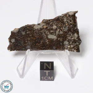 NWA 16181 Meteorite 8.3g Slice