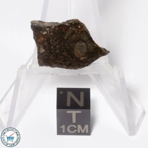 NWA 16181 Meteorite 2.0g Slice