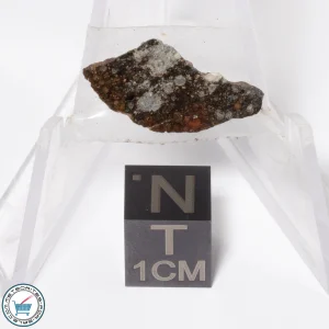 NWA 16181 Meteorite 0.8g Slice