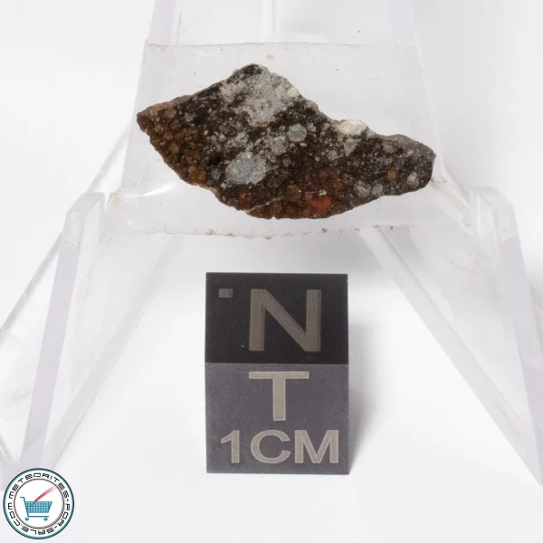 NWA 16181 Meteorite 0.8g Slice