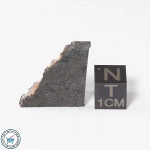 NWA 16315 Meteorite 2.0g Slice