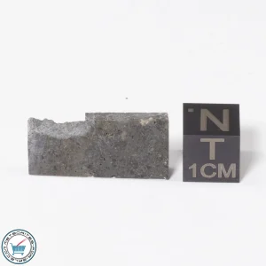 NWA 16315 Meteorite 2.1g Slice