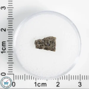NWA 17472 Martian Meteorite 0.30g